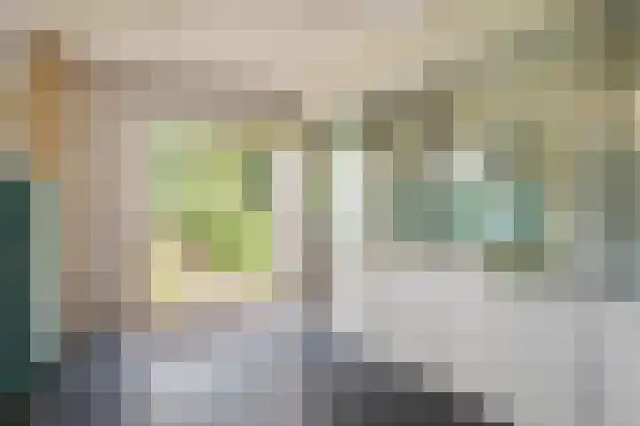 Wolfhezerweg 38 Wolfheze thumbnail 34