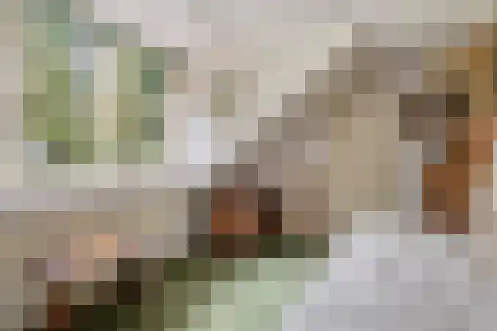 Wolfhezerweg 38 Wolfheze thumbnail 39
