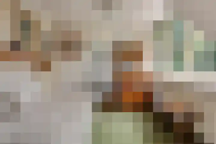 Wolfhezerweg 38 Wolfheze thumbnail 40