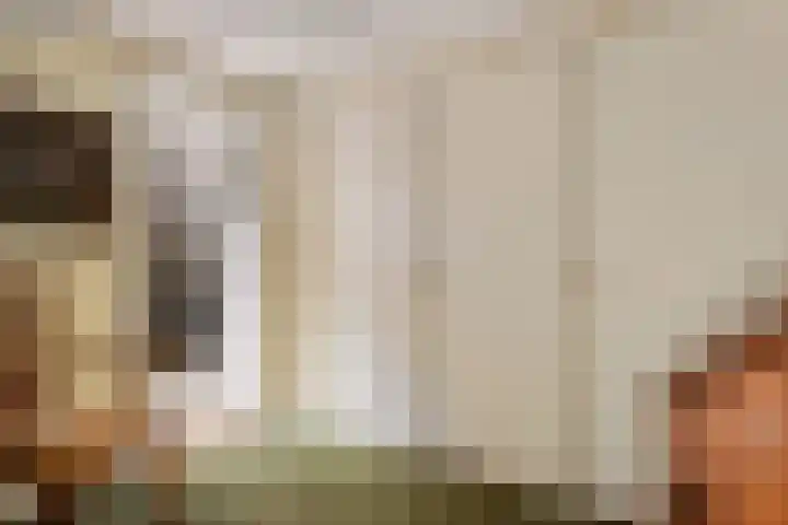 Wolfhezerweg 38 Wolfheze thumbnail 42