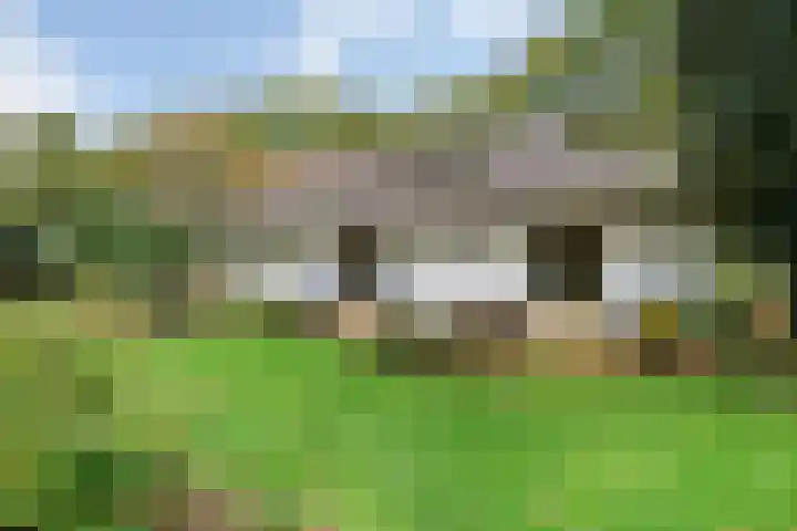 Wolfhezerweg 38 Wolfheze thumbnail 47