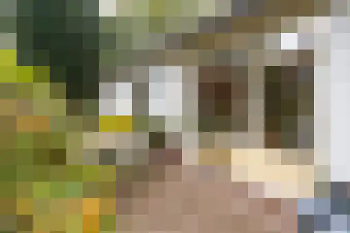 Wolfhezerweg 38 Wolfheze thumbnail 55