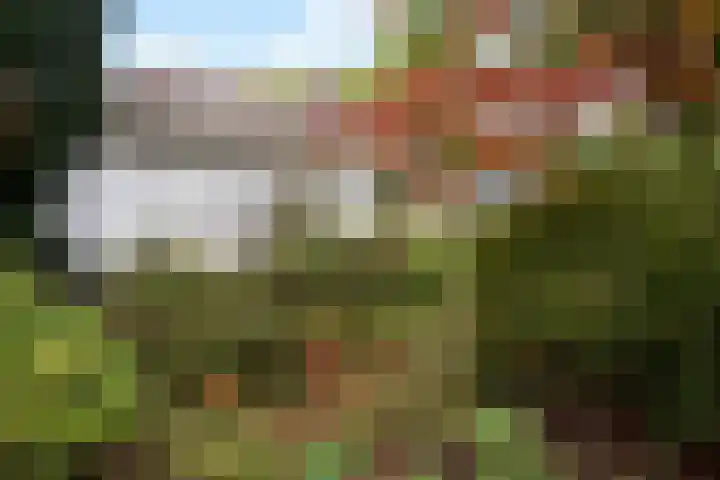 Wolfhezerweg 38 Wolfheze thumbnail 57