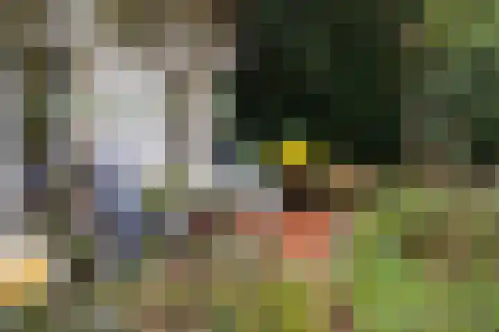 Wolfhezerweg 38 Wolfheze thumbnail 61