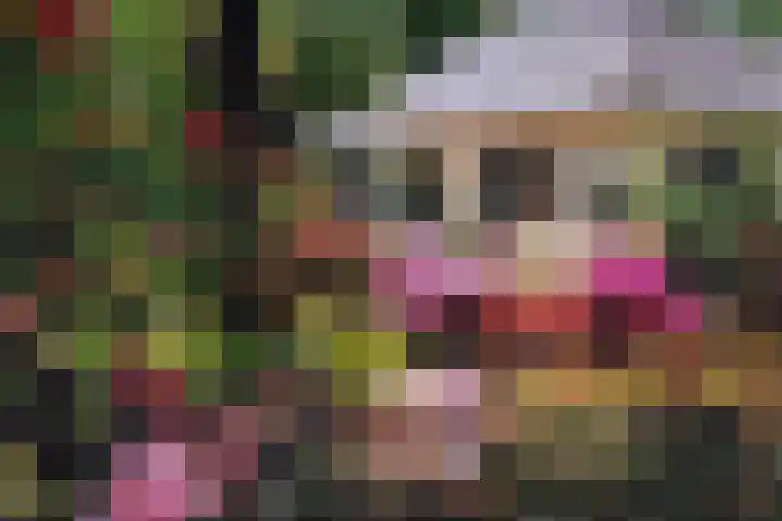 Wolfhezerweg 38 Wolfheze thumbnail 65