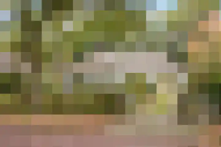 Wolfhezerweg 38 Wolfheze thumbnail 68