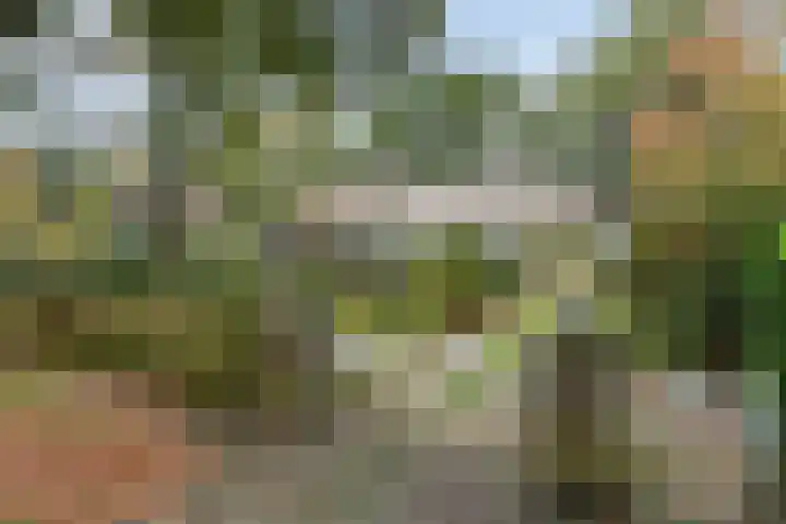 Wolfhezerweg 38 Wolfheze thumbnail 69