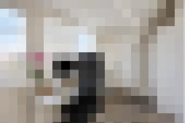 Wolfhezerweg 73 Wolfheze thumbnail 20