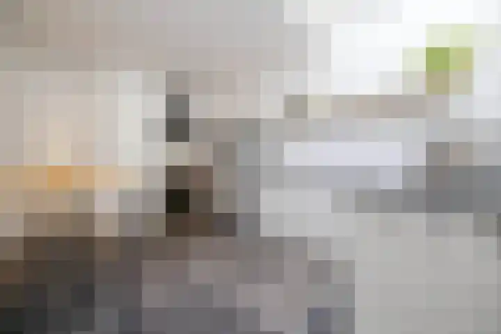Wolfhezerweg 73 Wolfheze thumbnail 21