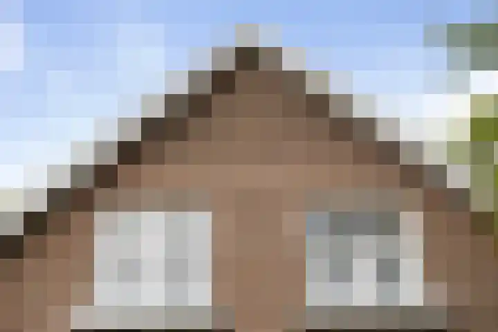 Wolfhezerweg 73 Wolfheze thumbnail 24