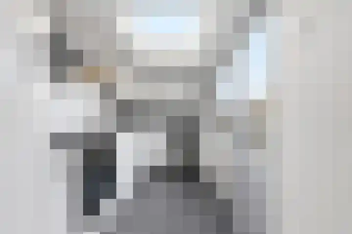 Wolfhezerweg 73 Wolfheze thumbnail 33