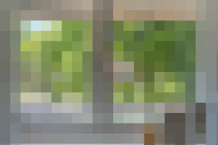 Wolfhezerweg 73 Wolfheze thumbnail 37