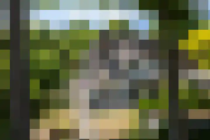 Wolfhezerweg 73 Wolfheze thumbnail 4