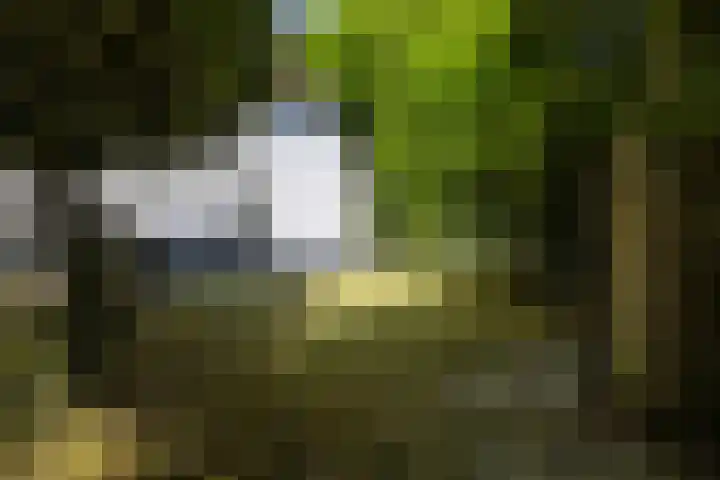 Wolfhezerweg 73 Wolfheze thumbnail 43