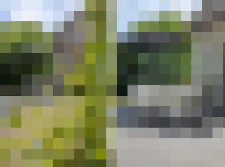 Wolfhezerweg 73 Wolfheze thumbnail 46