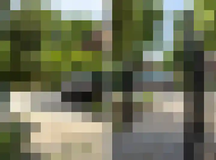 Wolfhezerweg 73 Wolfheze thumbnail 48