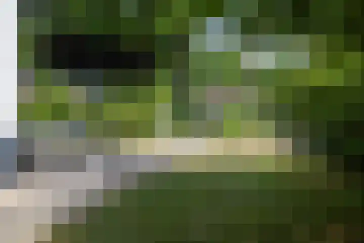 Wolfhezerweg 73 Wolfheze thumbnail 5