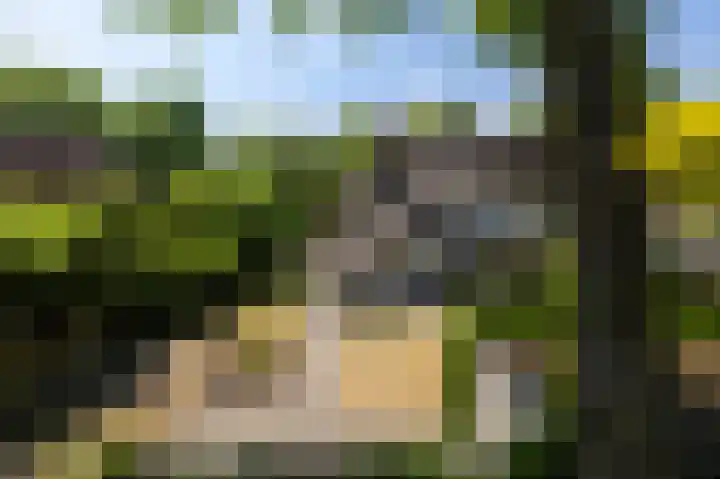 Wolfhezerweg 73 Wolfheze thumbnail 51