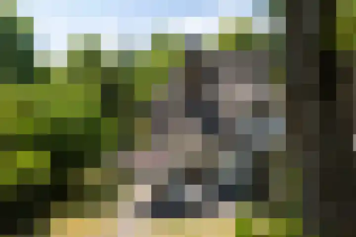 Wolfhezerweg 73 Wolfheze thumbnail 52