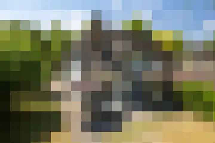 Wolfhezerweg 73 Wolfheze thumbnail 53