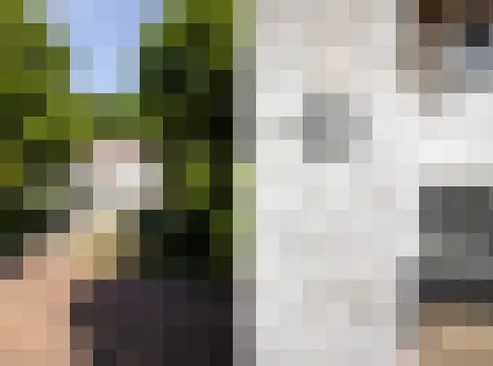 Wolfhezerweg 73 Wolfheze thumbnail 6