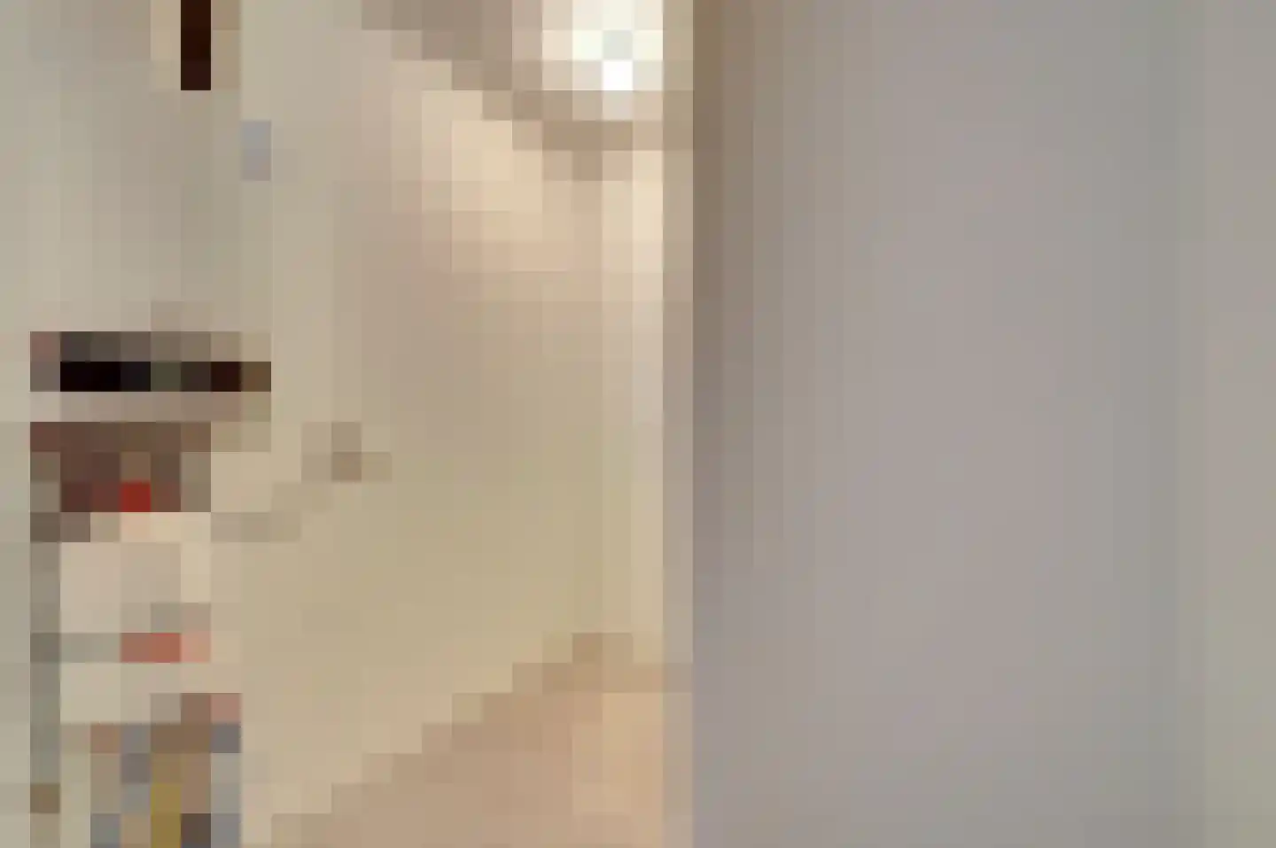 Wolfhezerweg 94 Wolfheze thumbnail 18