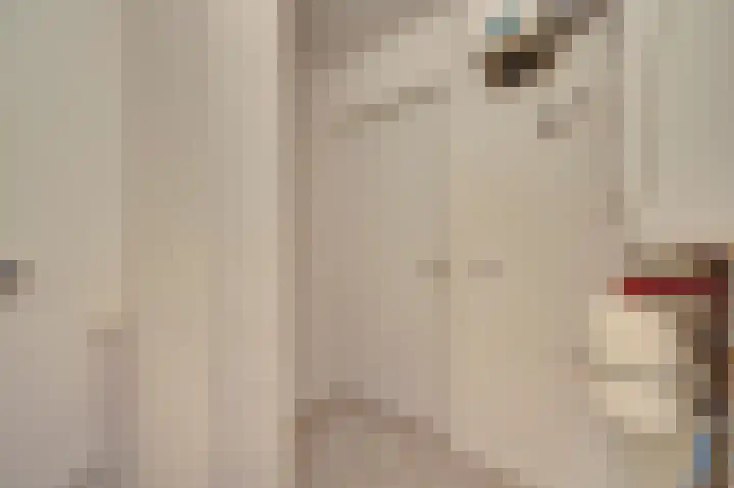Wolfhezerweg 94 Wolfheze thumbnail 19
