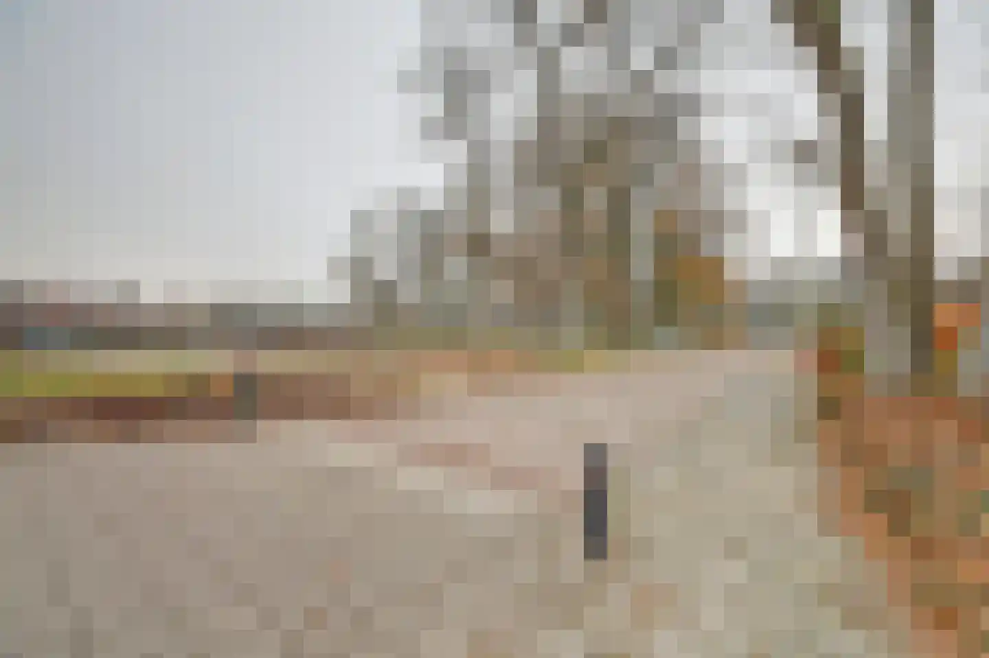 Wolfhezerweg 94 Wolfheze thumbnail 21