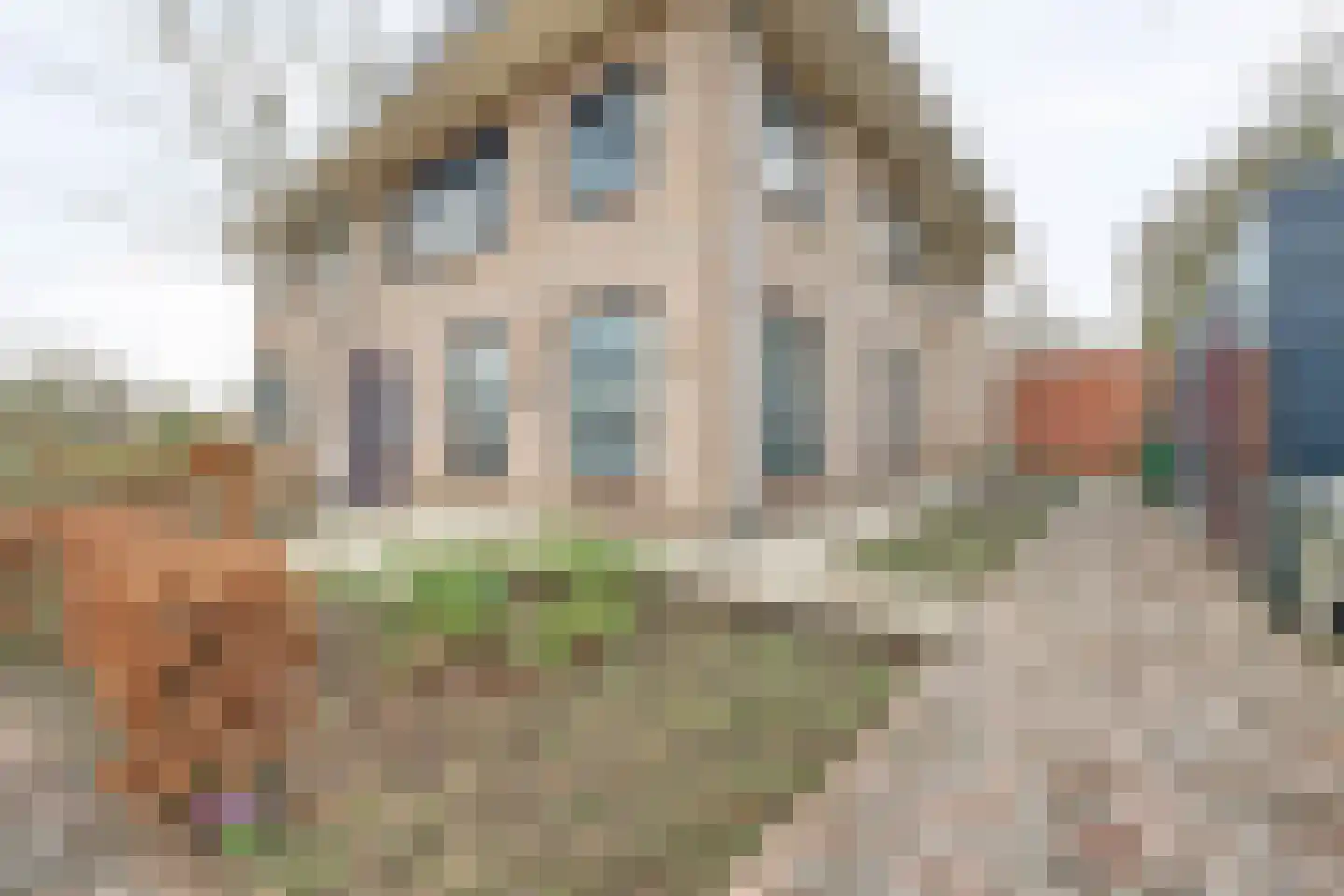 Wolfhezerweg 94 Wolfheze thumbnail 5
