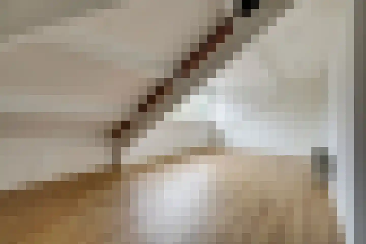 Wolfhezerweg 96 Wolfheze thumbnail 24