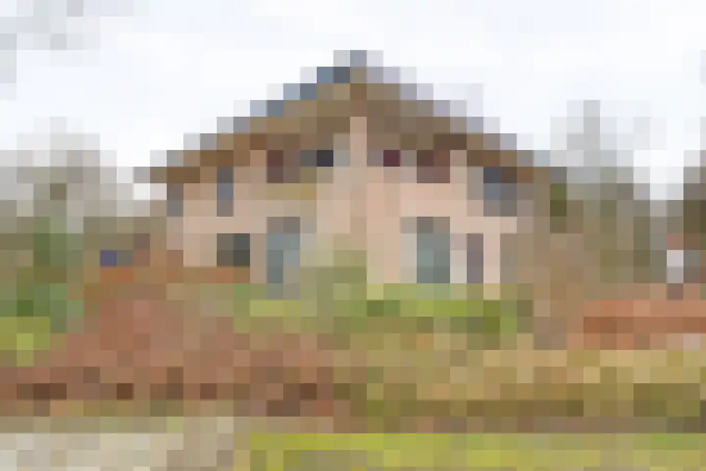 Wolfhezerweg 96 Wolfheze thumbnail 5