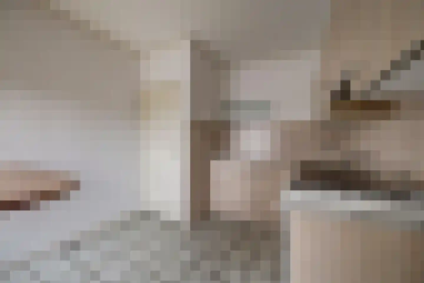 Wolfhezerweg 98 Wolfheze thumbnail 18