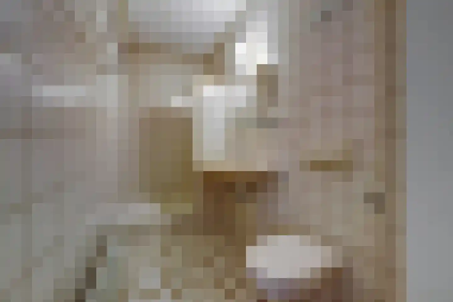 Wolfhezerweg 98 Wolfheze thumbnail 24