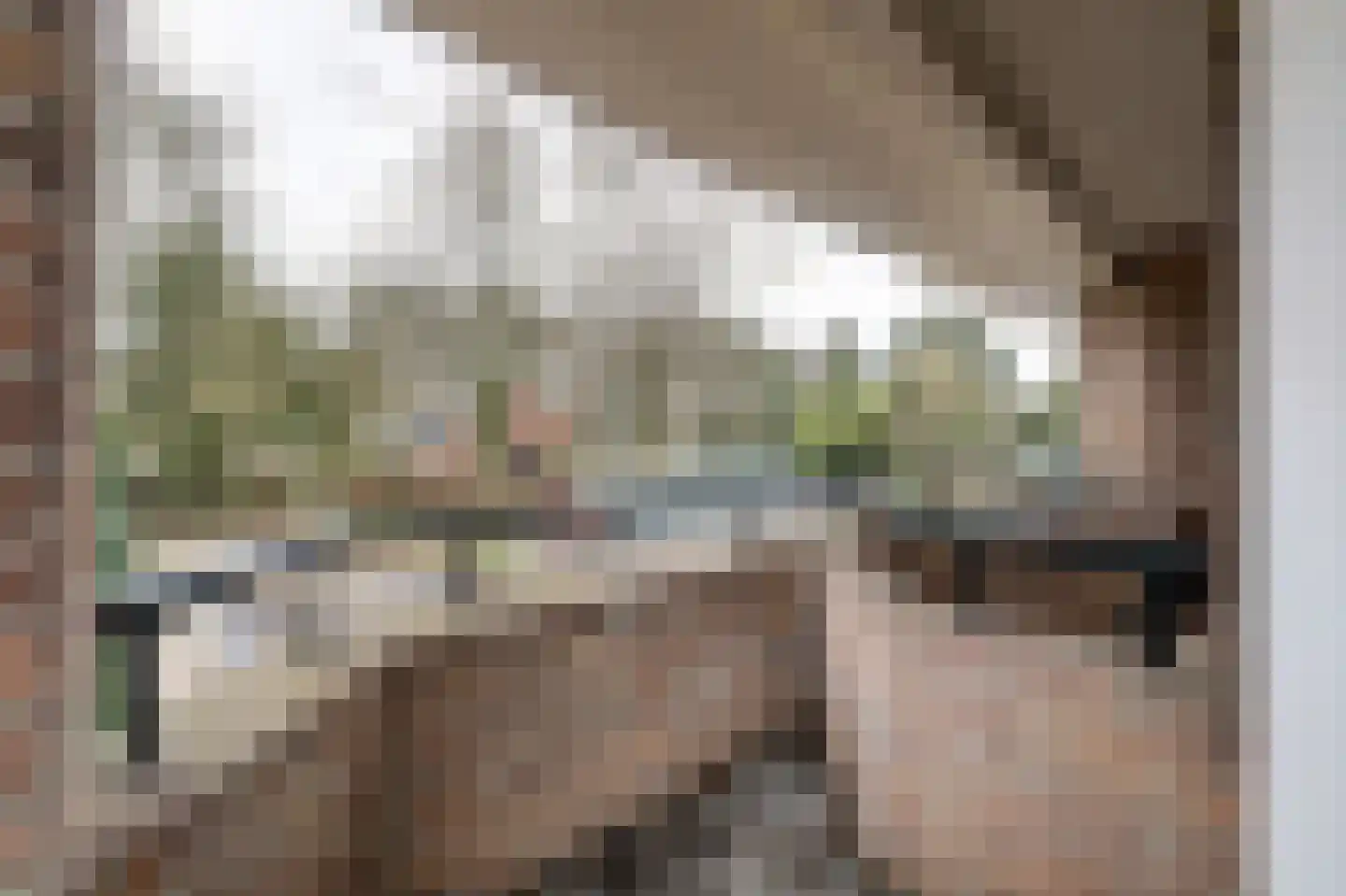 Wolfhezerweg 98 Wolfheze thumbnail 33