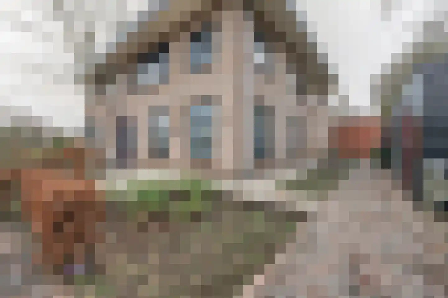Wolfhezerweg 98 Wolfheze thumbnail 4
