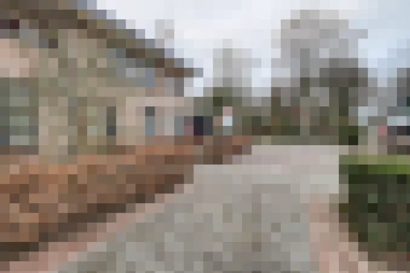 Wolfhezerweg 98 Wolfheze thumbnail 5