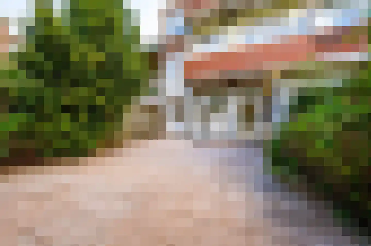 Wolfhezestraat 15 Den Haag thumbnail 16