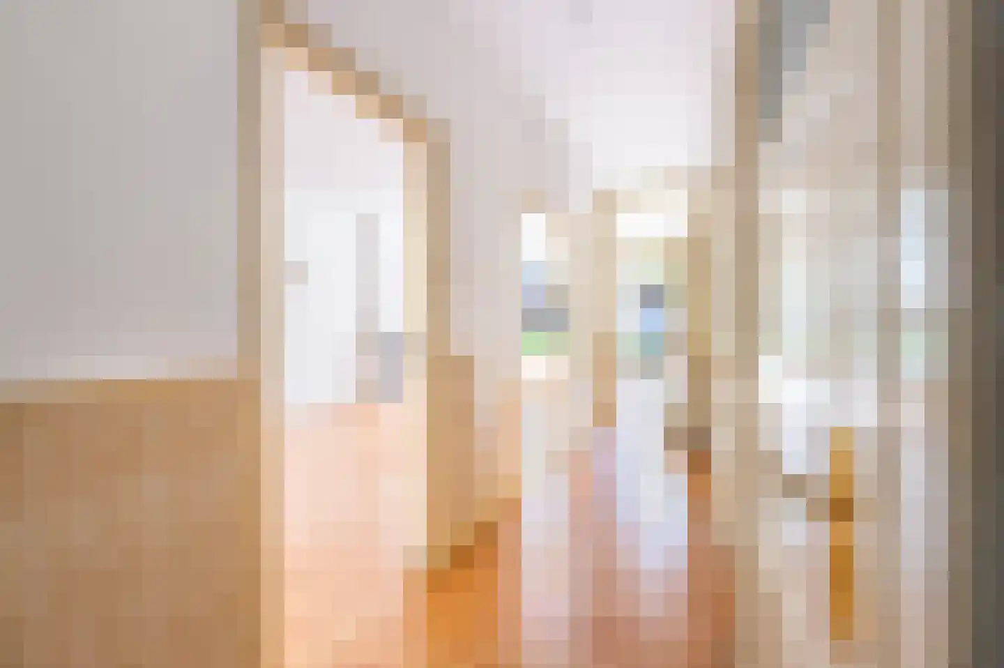 Wolfhezestraat 15 Den Haag thumbnail 7