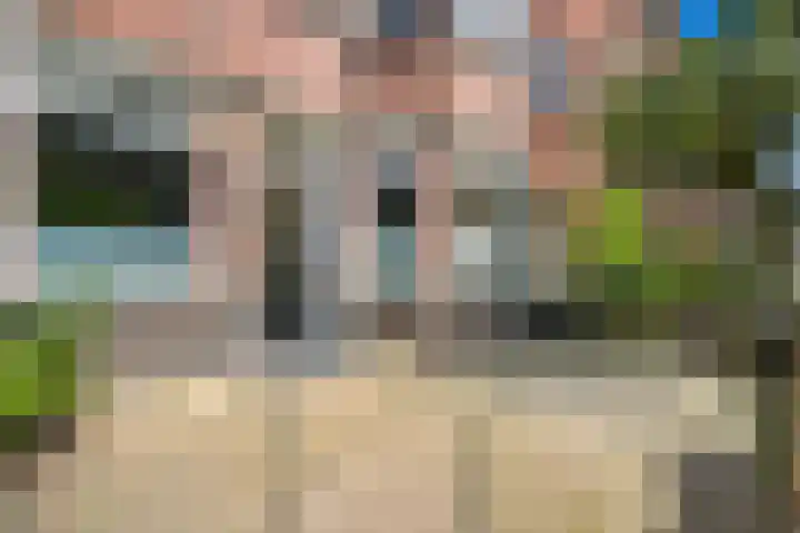 Wolfhezestraat 26 Den Haag thumbnail 5