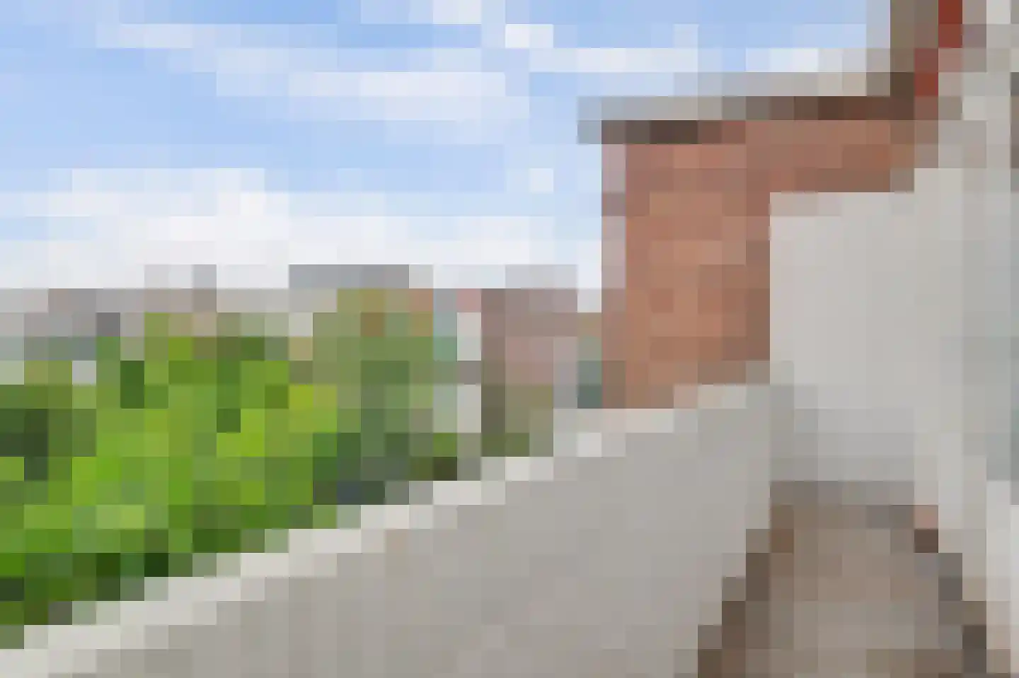Wolfhezestraat 3 Den Haag thumbnail 33