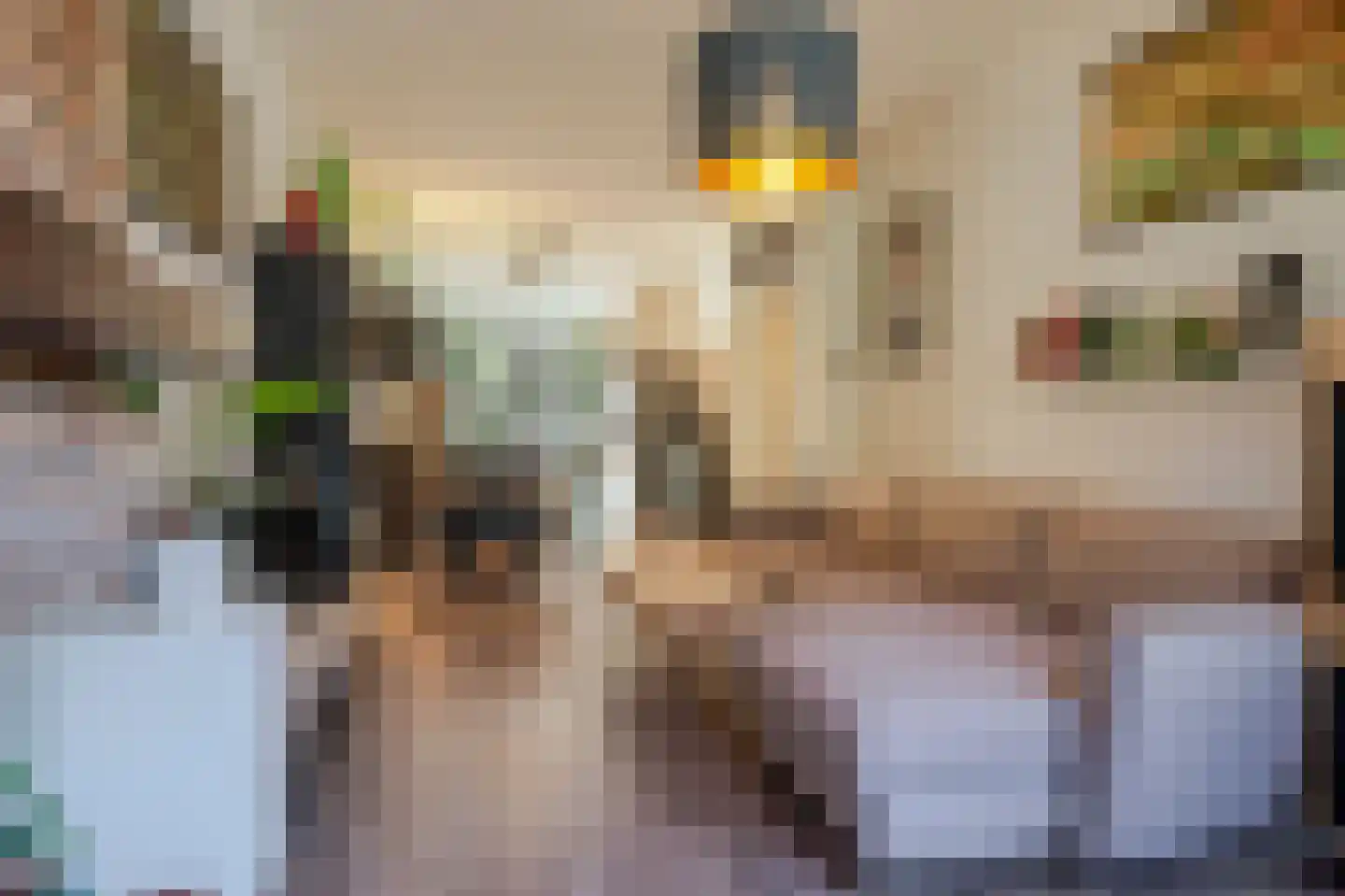 Wolfhezestraat 52 Den Haag thumbnail 10