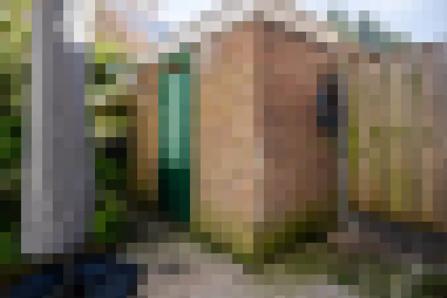 Wolfhezestraat 52 Den Haag thumbnail 34