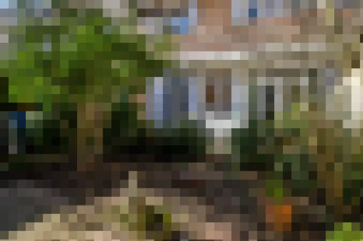 Wolfhezestraat 52 Den Haag thumbnail 4