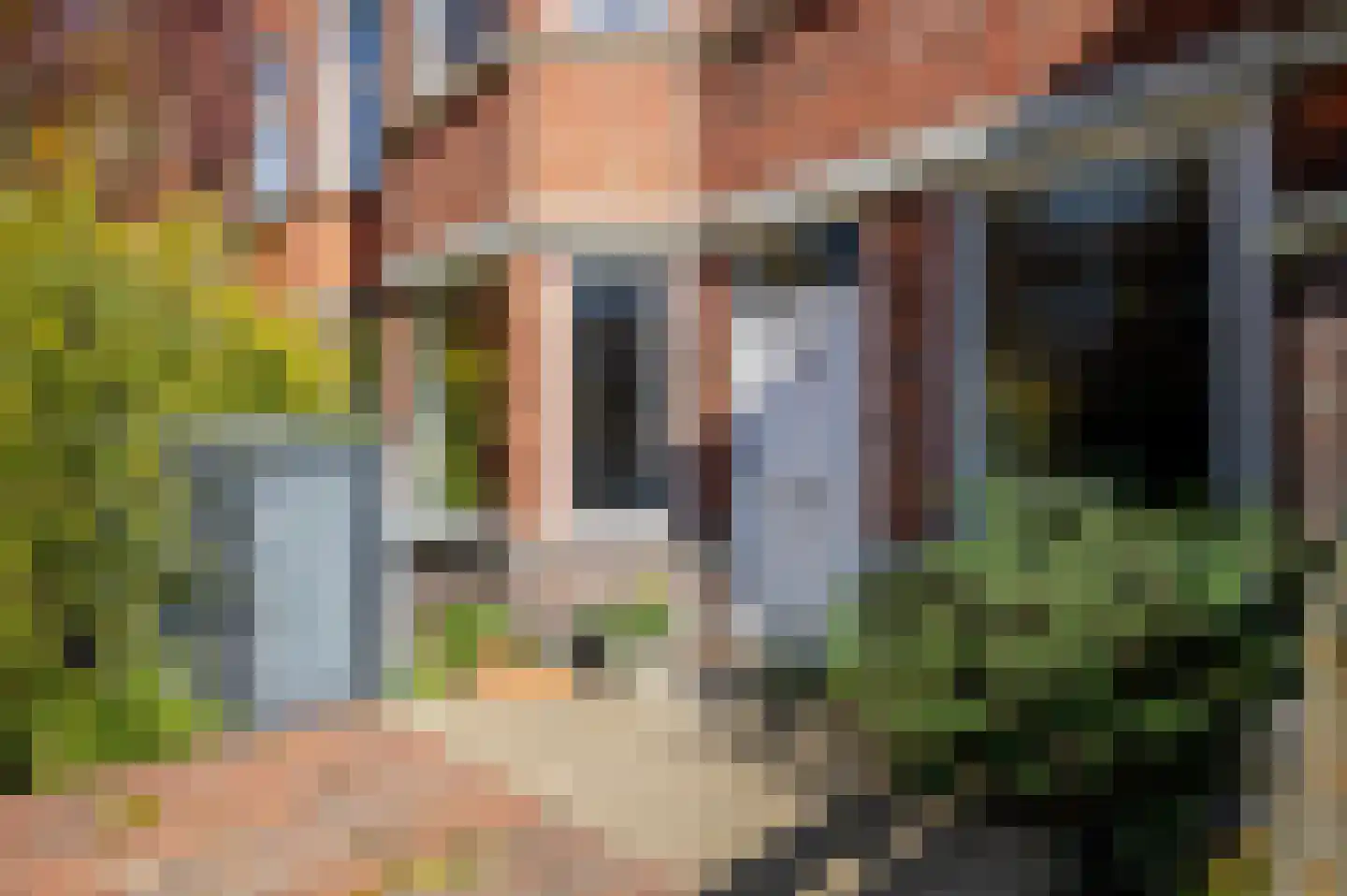 Wolfhezestraat 52 Den Haag thumbnail 6