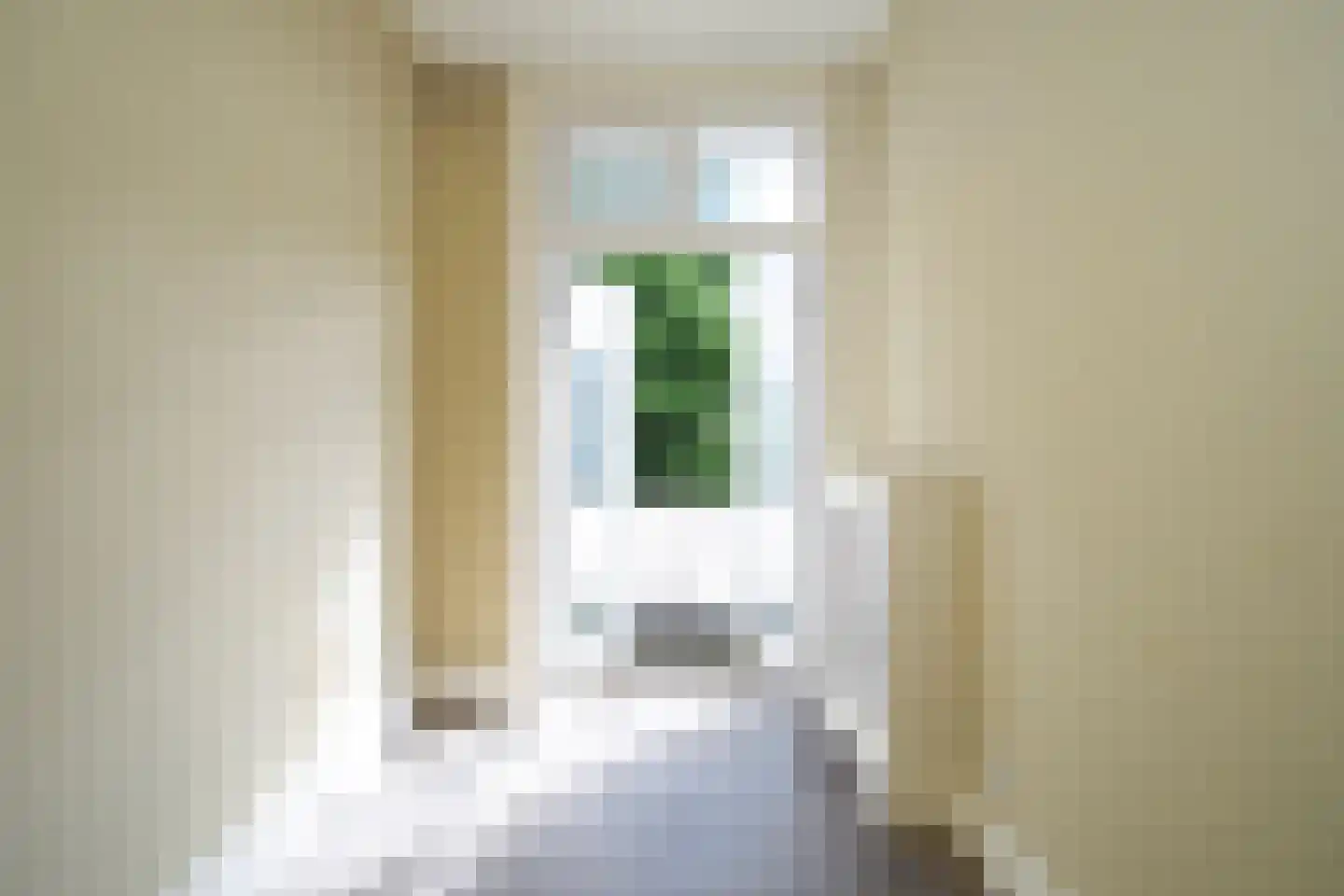 Wolfhezestraat 84 Den Haag thumbnail 13