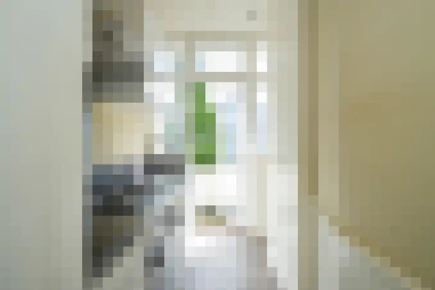 Wolfhezestraat 84 Den Haag thumbnail 20