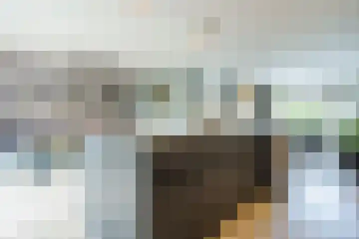 Wolfkampstraat 24 Dalfsen thumbnail 11