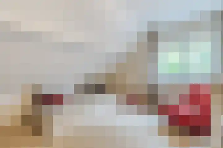 Wolfkampstraat 24 Dalfsen thumbnail 22