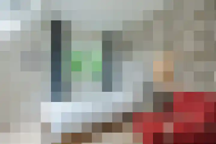 Wolfkampstraat 24 Dalfsen thumbnail 25