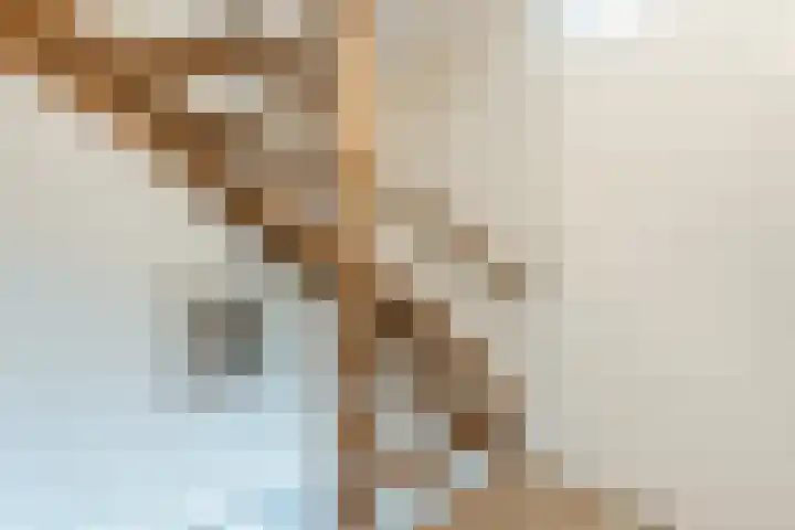 Wolfkampstraat 24 Dalfsen thumbnail 31
